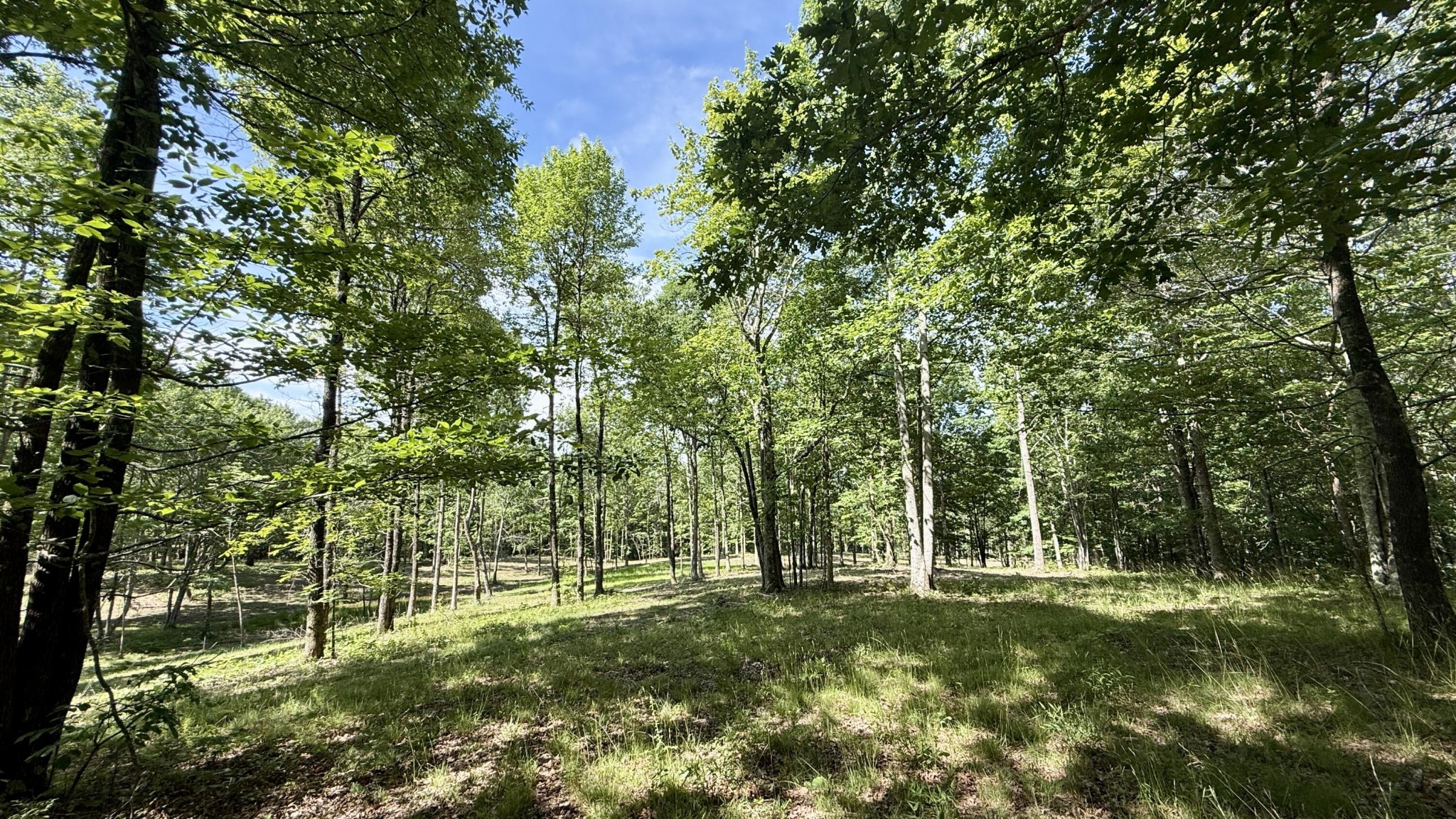 6 Hobbstown Road Dunlap, TN 37327 - Photo 4 of 22 Gallery Image 4