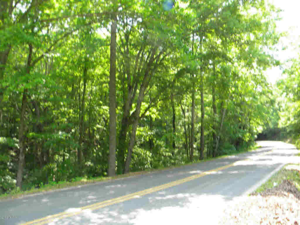 2 Seven Island Road Danbury, NC 27016 - Photo 7 of 8 Gallery Image 7
