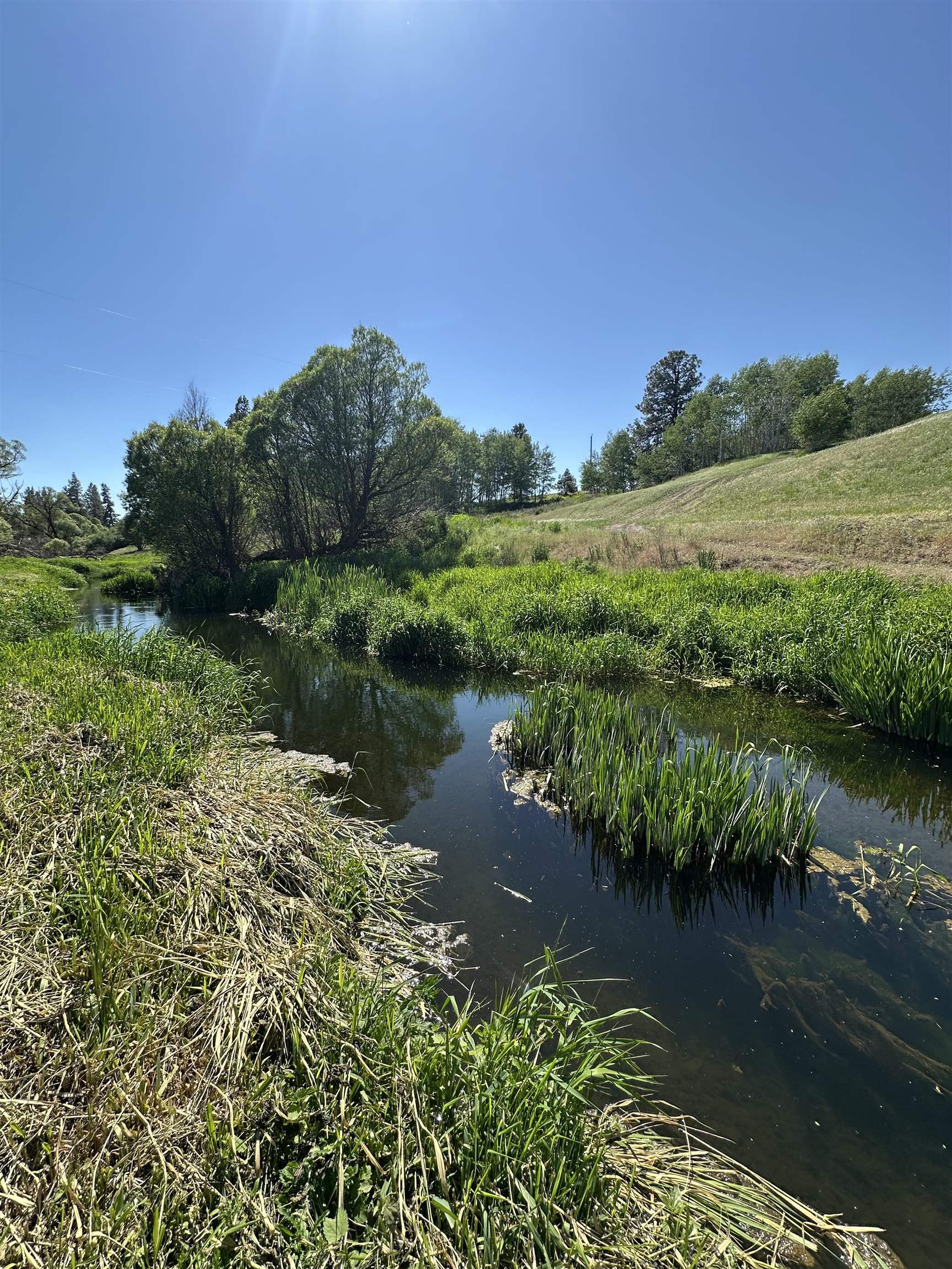 704 South Deep Creek Road Medical Lake, WA 99022 - Photo 49 of 50 Gallery Image 49