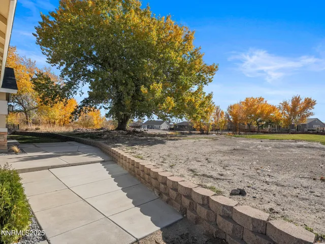 a view of a yard with an trees