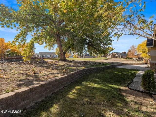 a view of a yard with plants and trees