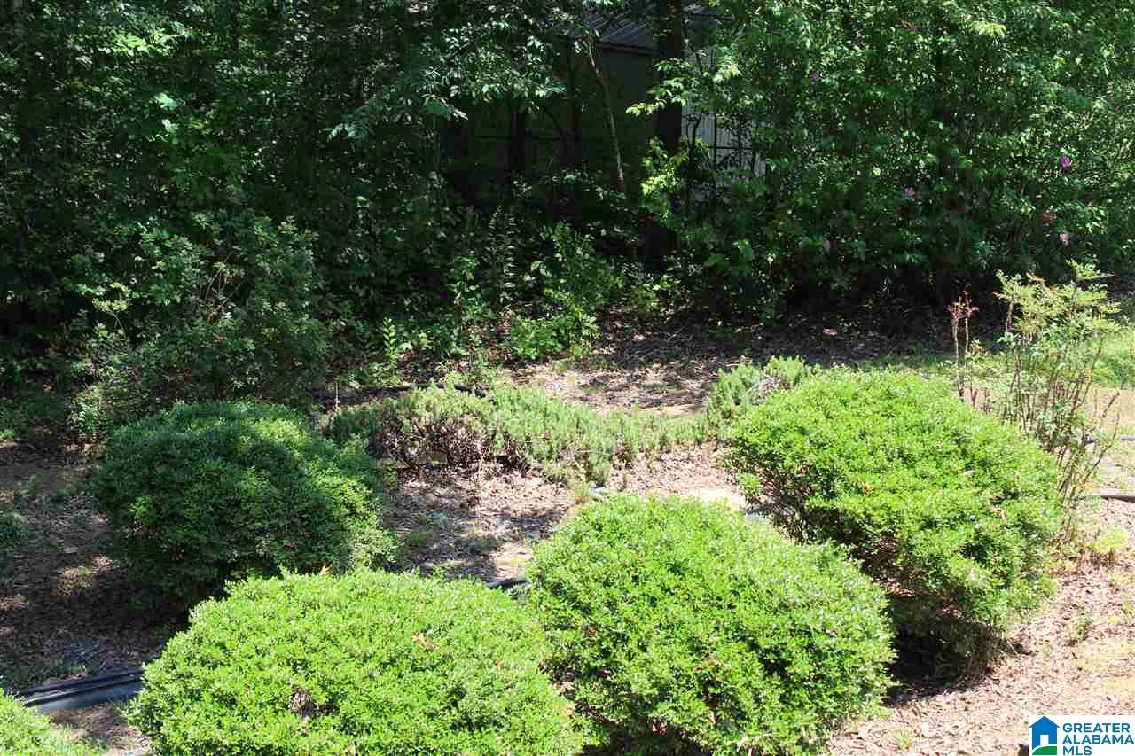993 Comanche Trail Anniston, AL 36206 - Photo 43 of 47