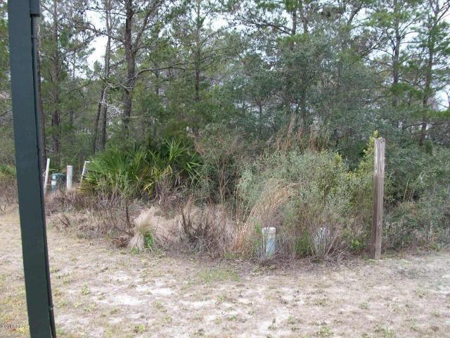 0 West Willow Mist Rd Inlet Beach Inlet Beach, FL 32461 - Photo 8 of 11 a view of a forest filled with trees