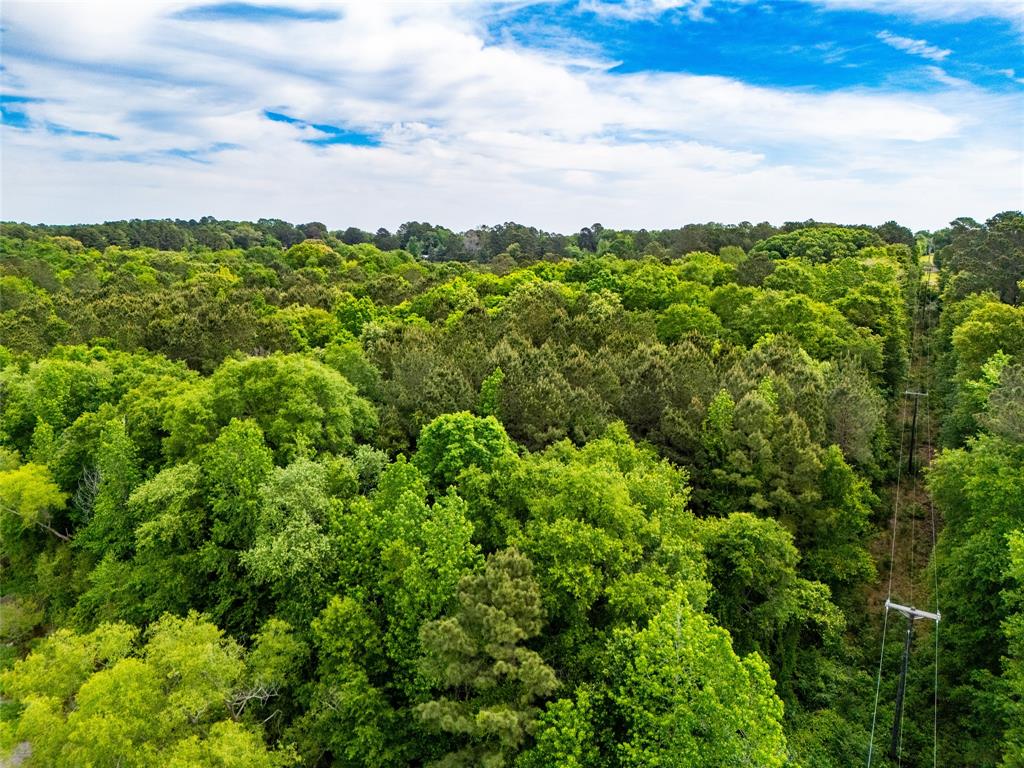 Tbd White Oak Road Big Sandy, TX 75755 - Photo 18 of 24