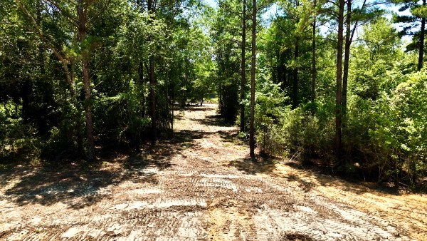 1.32 Acres Airport Road Andalusia, AL 36421 - Photo 8 of 12