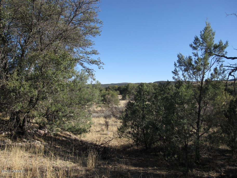 South Lyle Canyon Road, Unit 12C Elgin, AZ 85611 - Photo 3 of 4