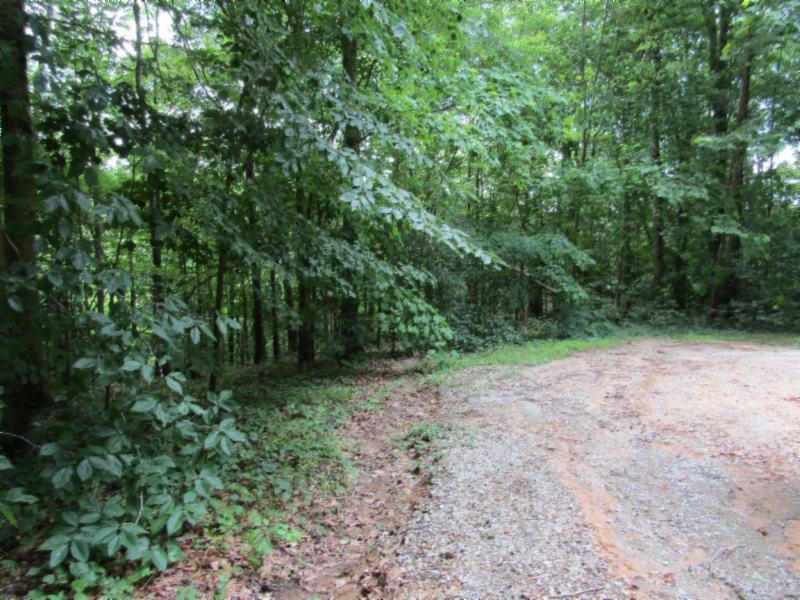 82-ac Rue Des Rindler Road Alpine, TN 38543 - Photo 11 of 21 IMG_8378