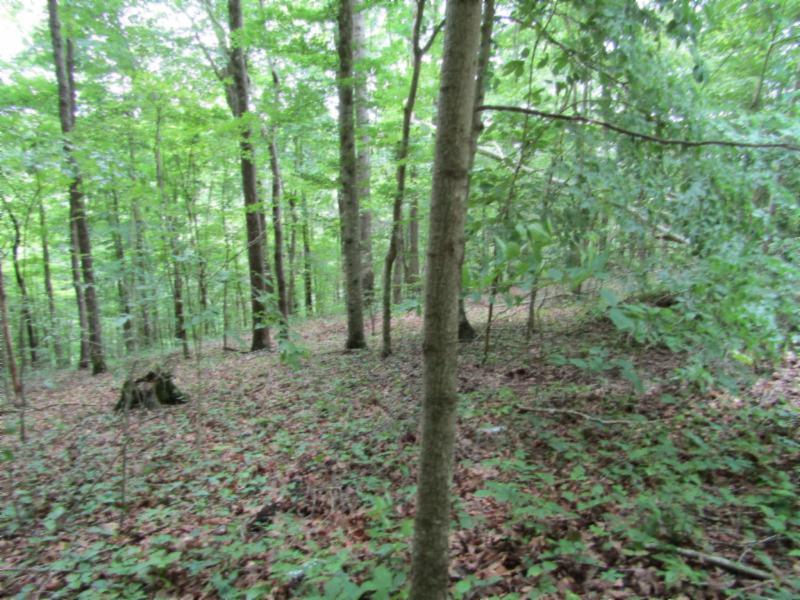 82-ac Rue Des Rindler Road Alpine, TN 38543 - Photo 13 of 21 IMG_8381