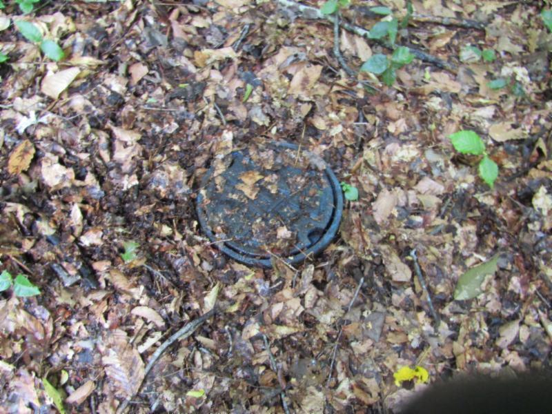 82-ac Rue Des Rindler Road Alpine, TN 38543 - Photo 17 of 21 WATER LINE