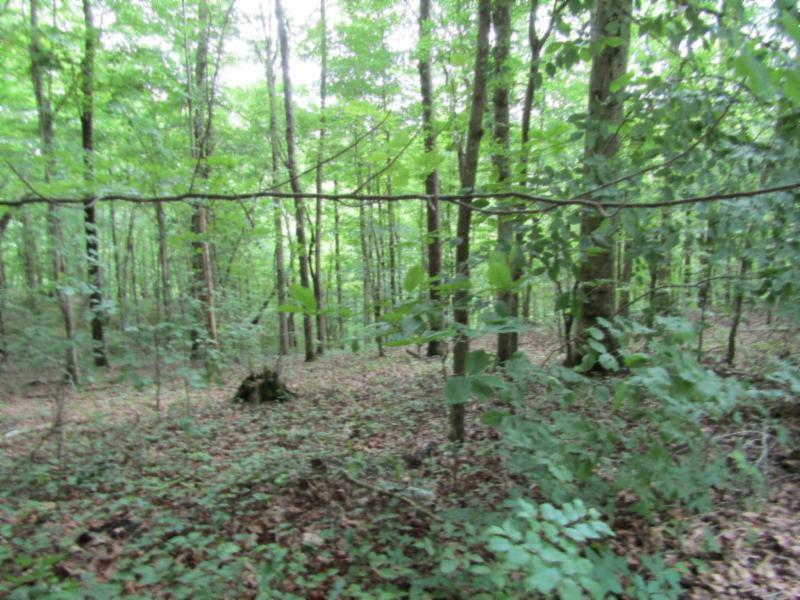 82-ac Rue Des Rindler Road Alpine, TN 38543 - Photo 6 of 21 IMG_8373