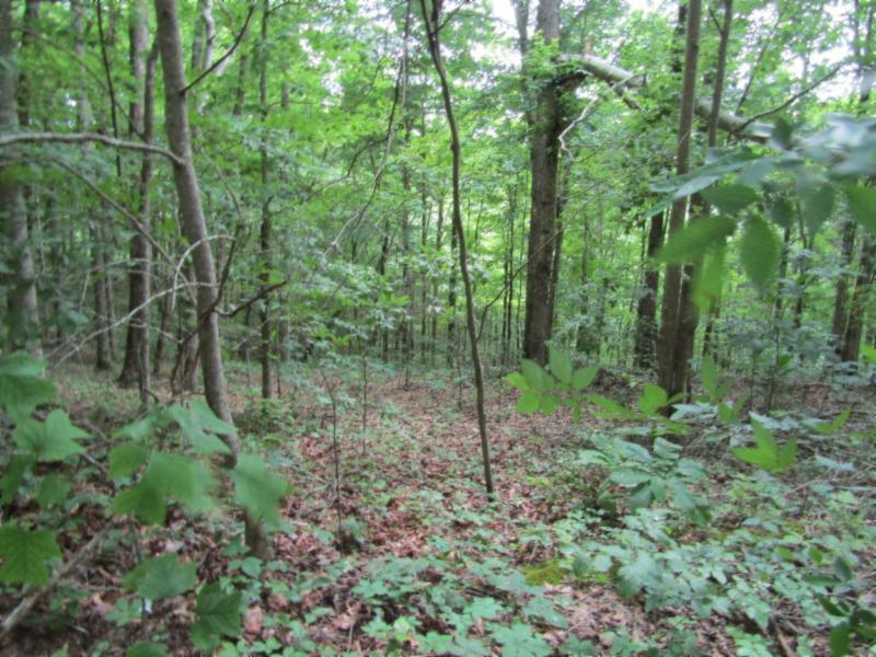 82-ac Rue Des Rindler Road Alpine, TN 38543 - Photo 7 of 21 IMG_8374