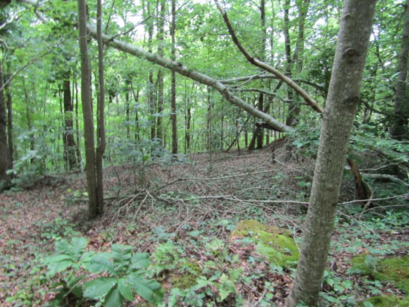82-ac Rue Des Rindler Road Alpine, TN 38543 - Photo 8 of 21 IMG_8375