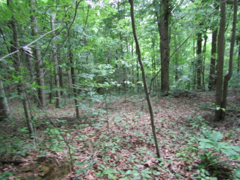 82-ac Rue Des Rindler Road Alpine, TN 38543 - Photo 9 of 21 IMG_8376