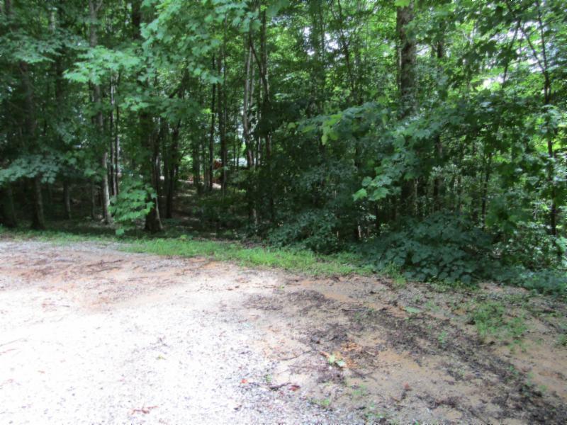 82-ac Rue Des Rindler Road Alpine, TN 38543 - Photo 10 of 21 IMG_8377