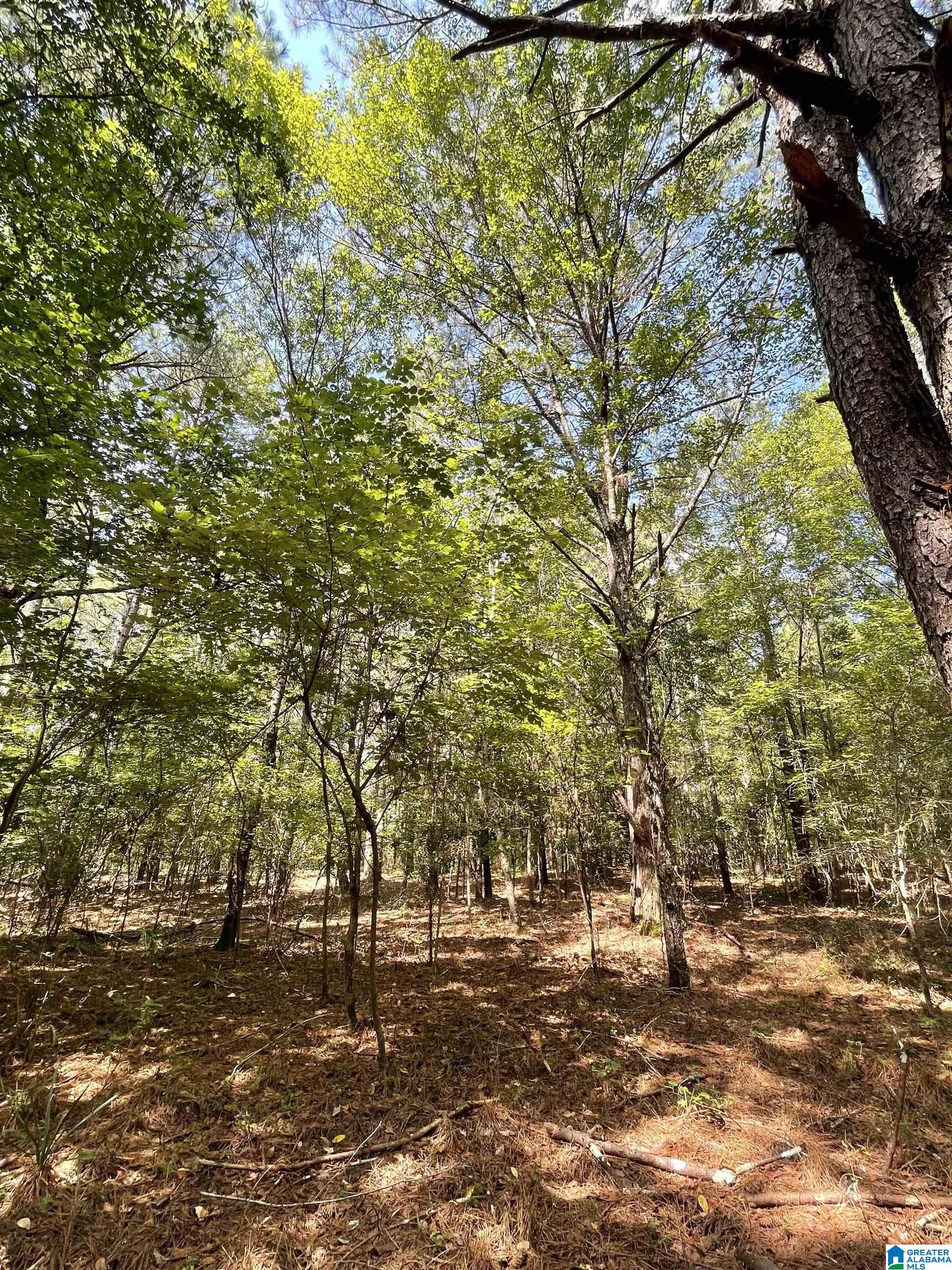 0 Joy Road Hayden, AL 35079 - Photo 12 of 23