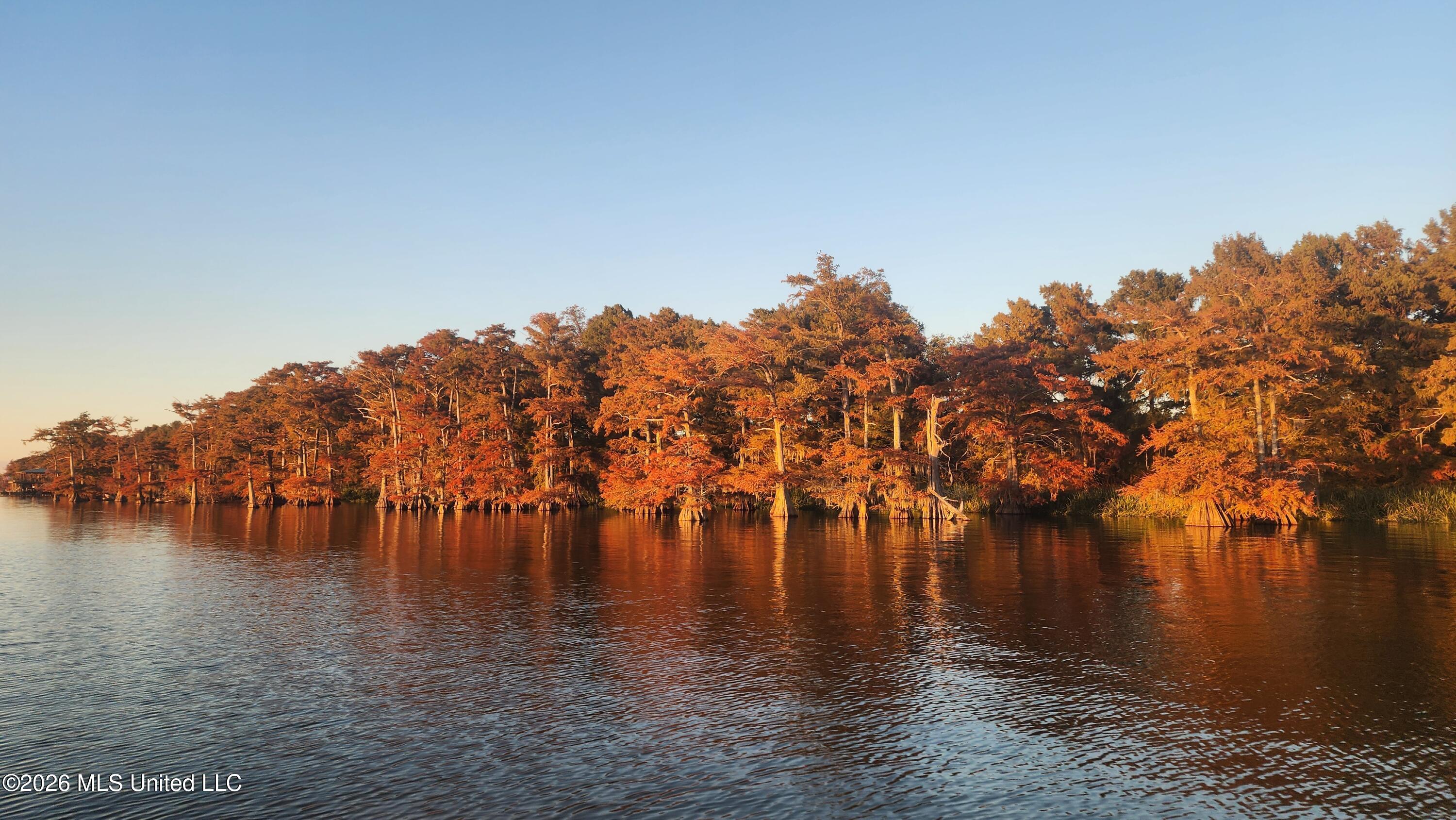 5375 State Rte 568 Ferriday, LA 71334 - Photo 47 of 48 20251114_164847