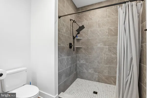 a bathroom with a shower and a toilet