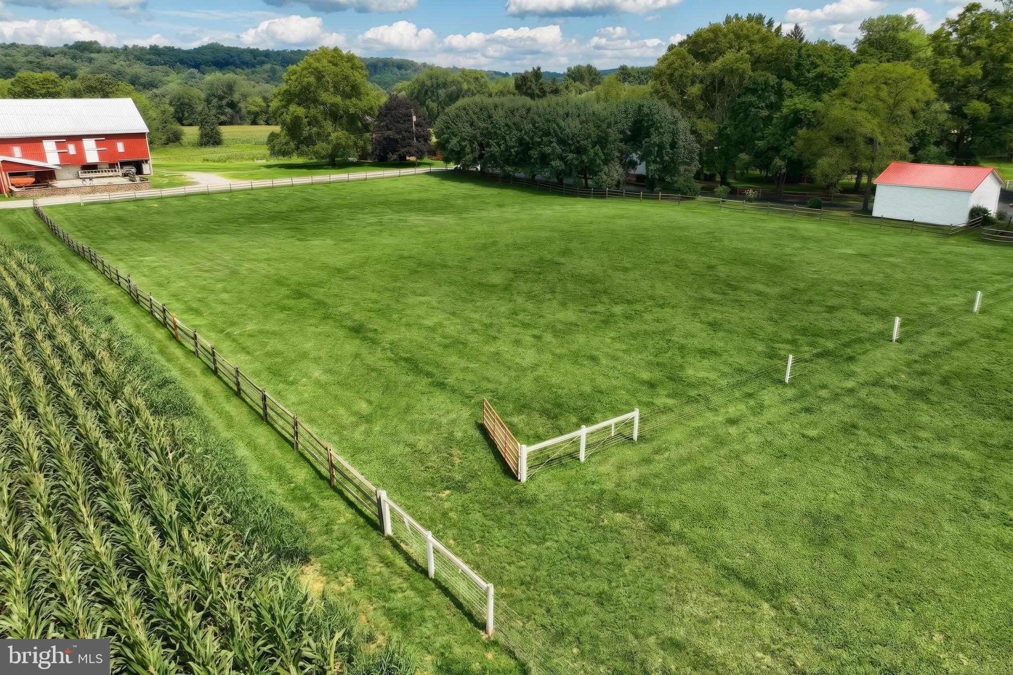 6505 Davidsburg Road Dover, PA 17315 - Photo 70 of 78 Gallery Image 70