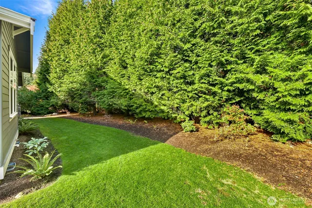 a view of a yard with a tree