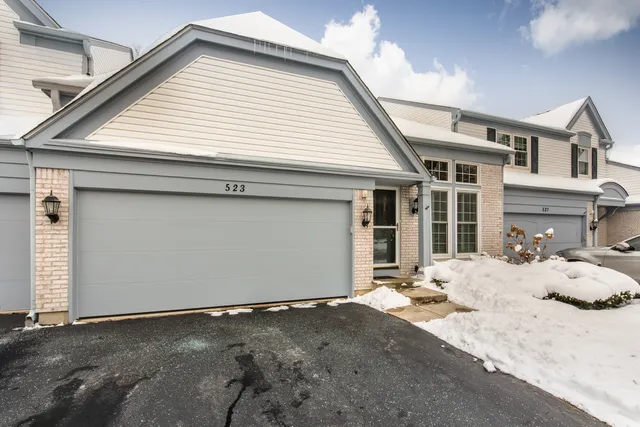 $400,000 | 523 Orleans Avenue, Naperville, IL 60565