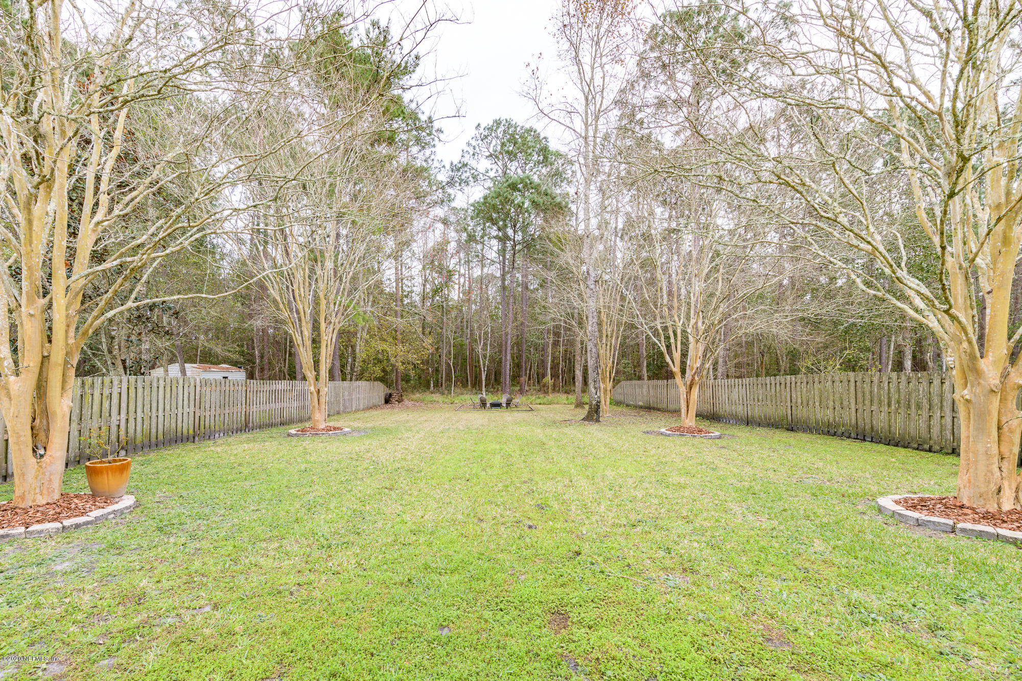 1261 Ribbon Road Jacksonville, FL 32259 - Photo 26 of 33 a view of a yard with a tree