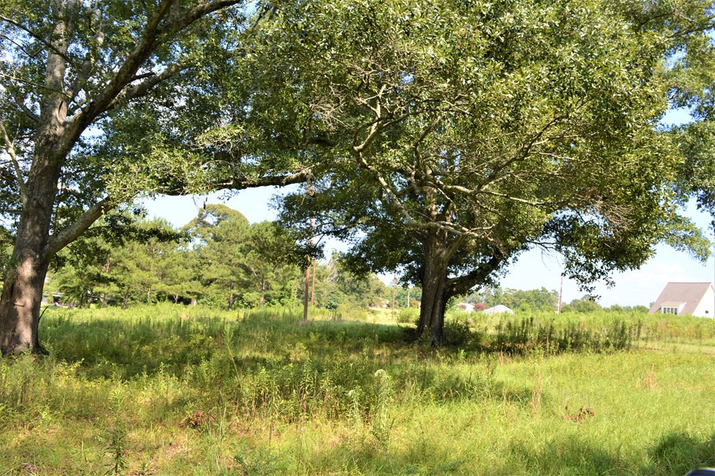 ... Berkshire Lane McComb, MS 39648 - Photo 2 of 4 Photo 2