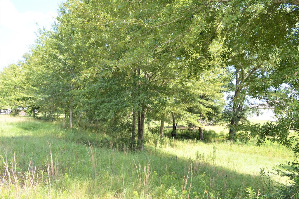 ... Berkshire Lane McComb, MS 39648 - Photo 4 of 4 Photo 4