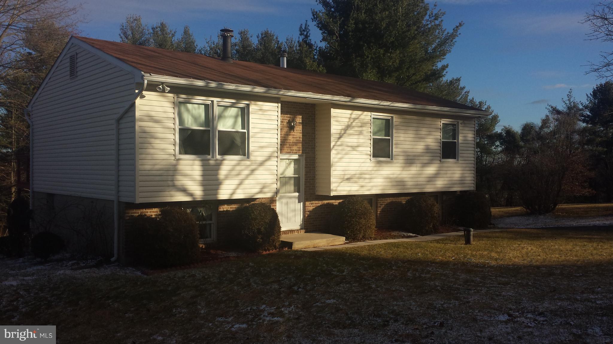 2428 Raintree Avenue Westminster, MD 21157 - Photo 12 of 29 Afternoon Sunshine
