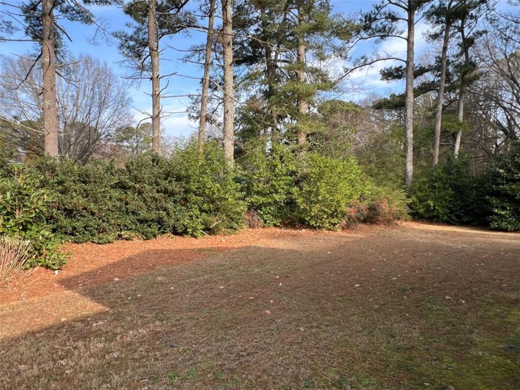 3158 Shabromat Way Atlanta, GA 30341 - Photo 45 of 47 a view of a field with plants and trees