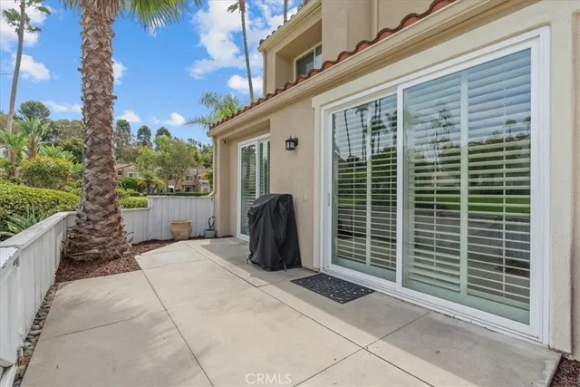 a view of backyard with potted plants