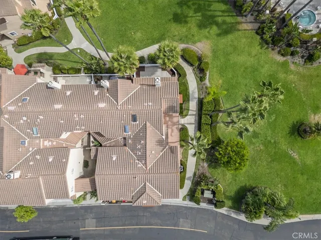 a view of banana tree