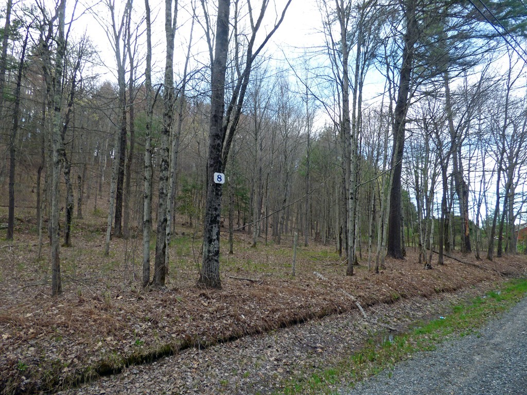Lot 8 Ben Hale Road Gill, MA 01354 - Photo 3 of 5 Gallery Image 3