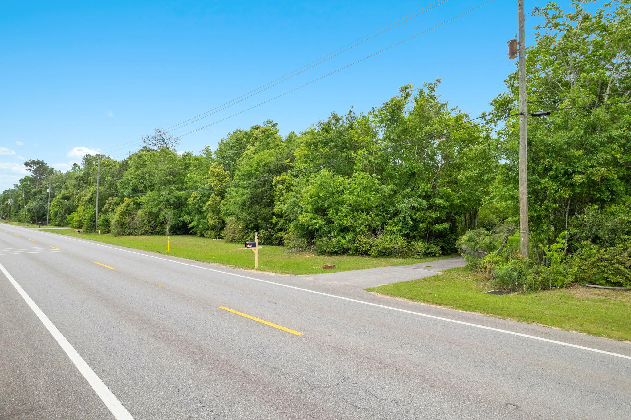 2751 Pine Forest Road Cantonment, FL 32533 - Photo 7 of 13 a view of a big yard with plants and large trees