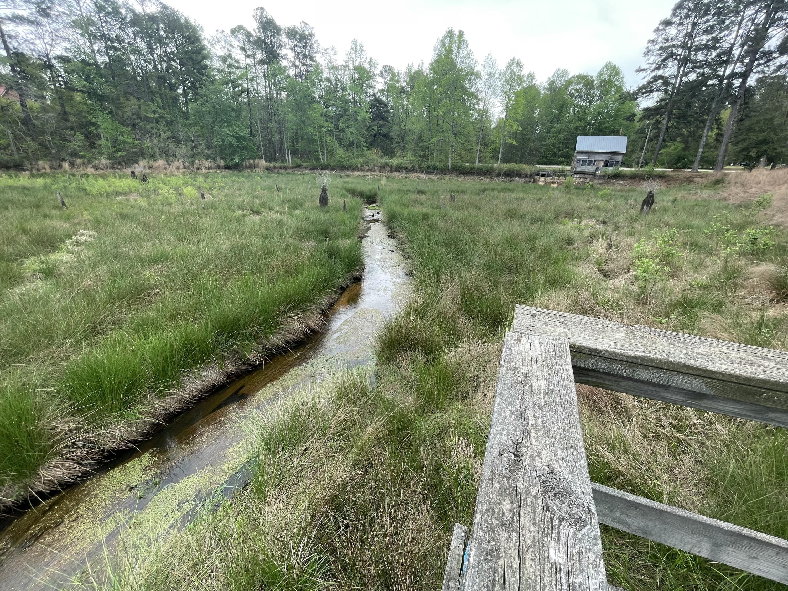 2009 Fort Creek Road Dearing, GA 30808 - Photo 21 of 35 IMG_7647