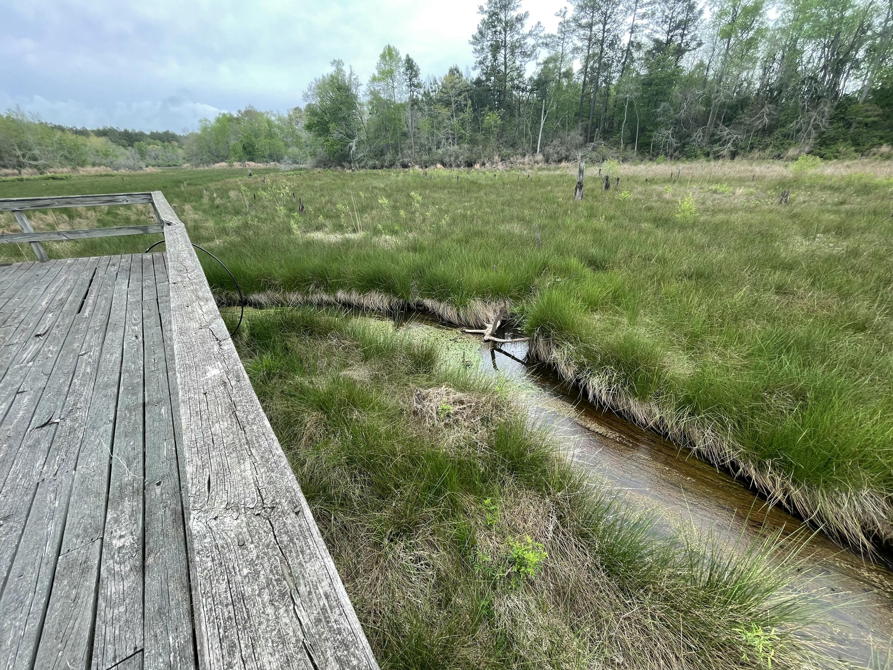 2009 Fort Creek Road Dearing, GA 30808 - Photo 22 of 35 IMG_7648