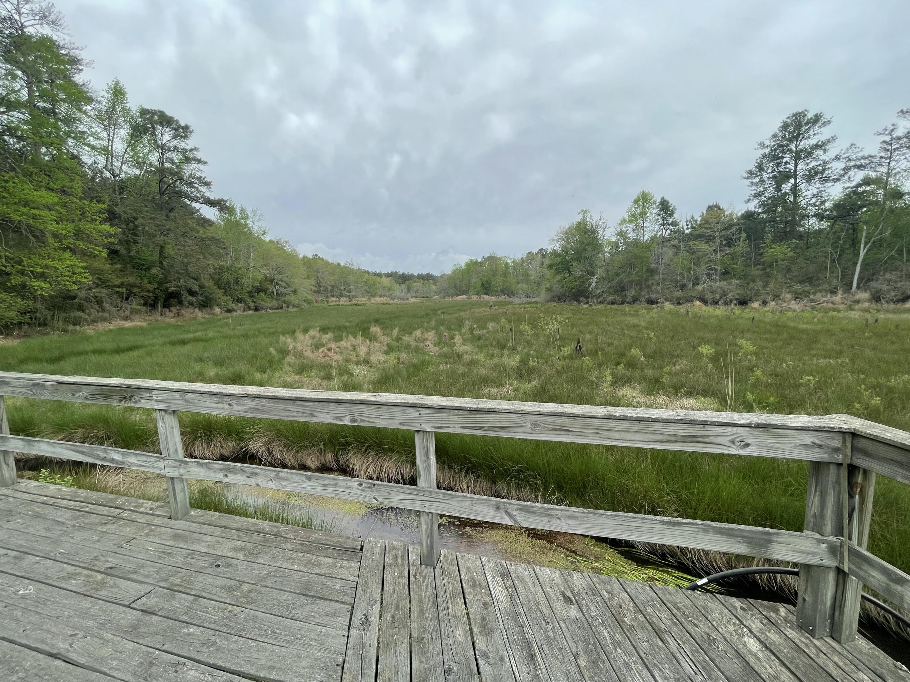 2009 Fort Creek Road Dearing, GA 30808 - Photo 23 of 35 IMG_7649