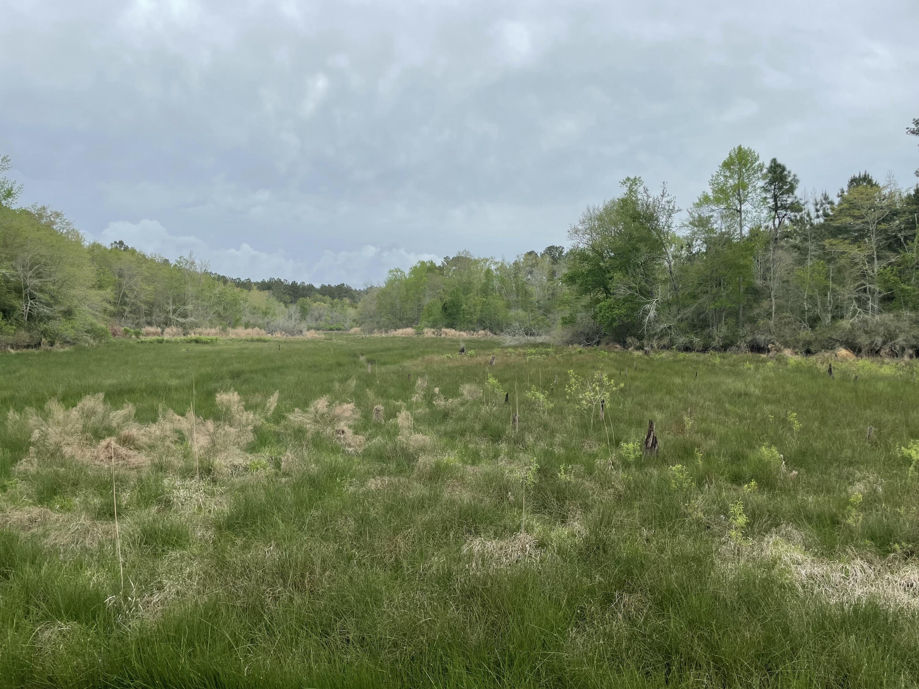 2009 Fort Creek Road Dearing, GA 30808 - Photo 24 of 35 IMG_7650