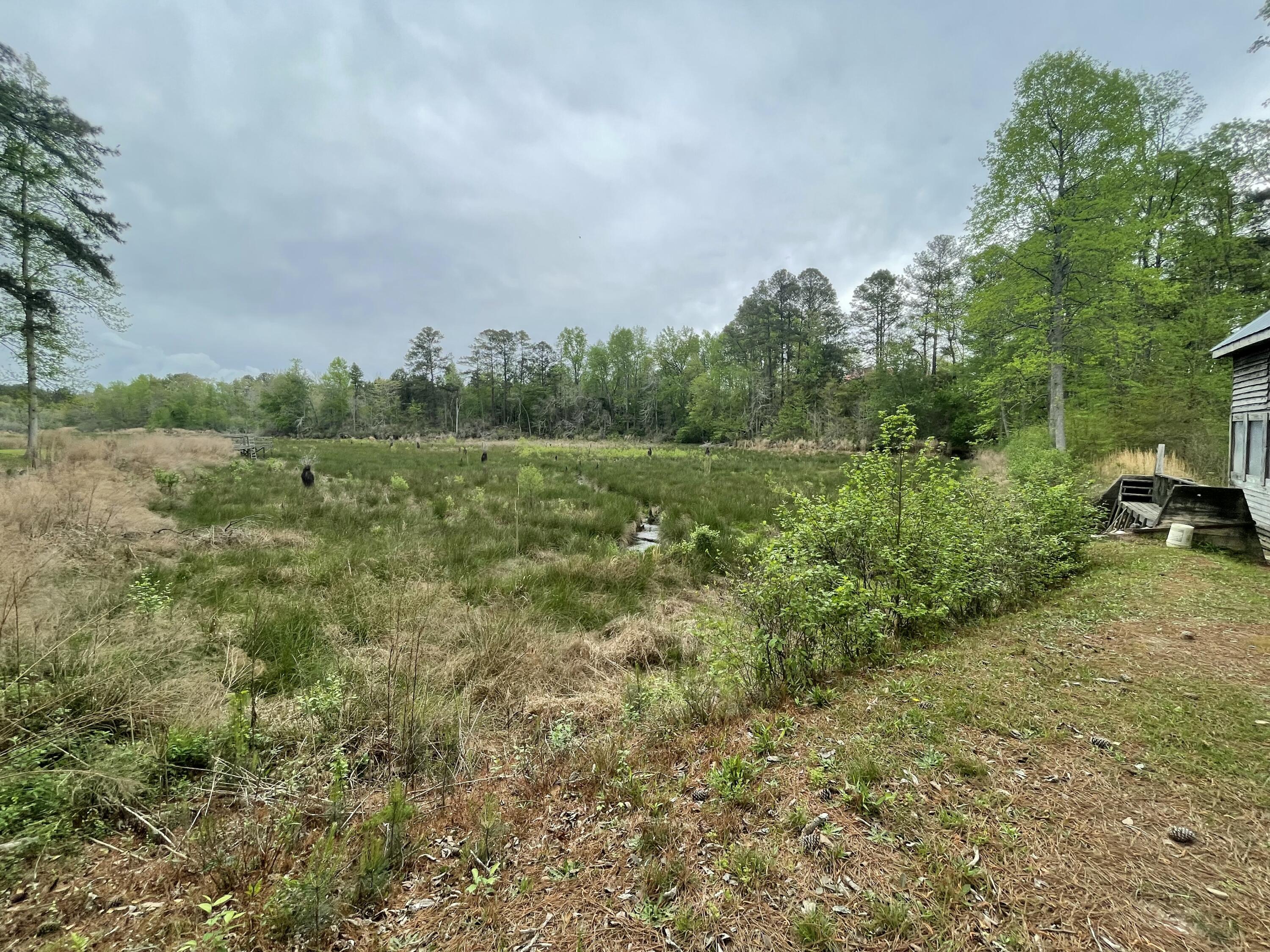 2009 Fort Creek Road Dearing, GA 30808 - Photo 26 of 35 IMG_7652