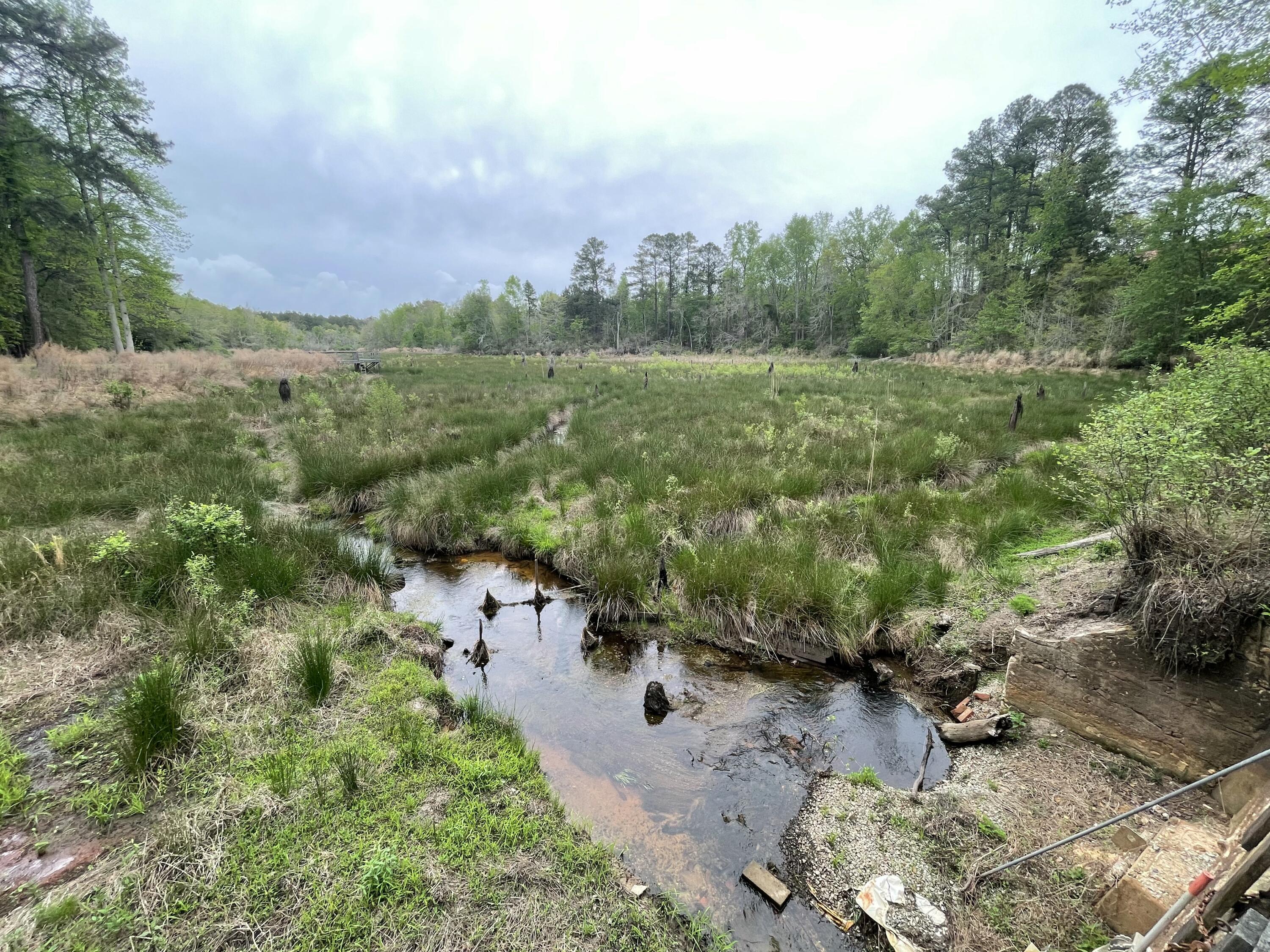 2009 Fort Creek Road Dearing, GA 30808 - Photo 31 of 35 IMG_7657