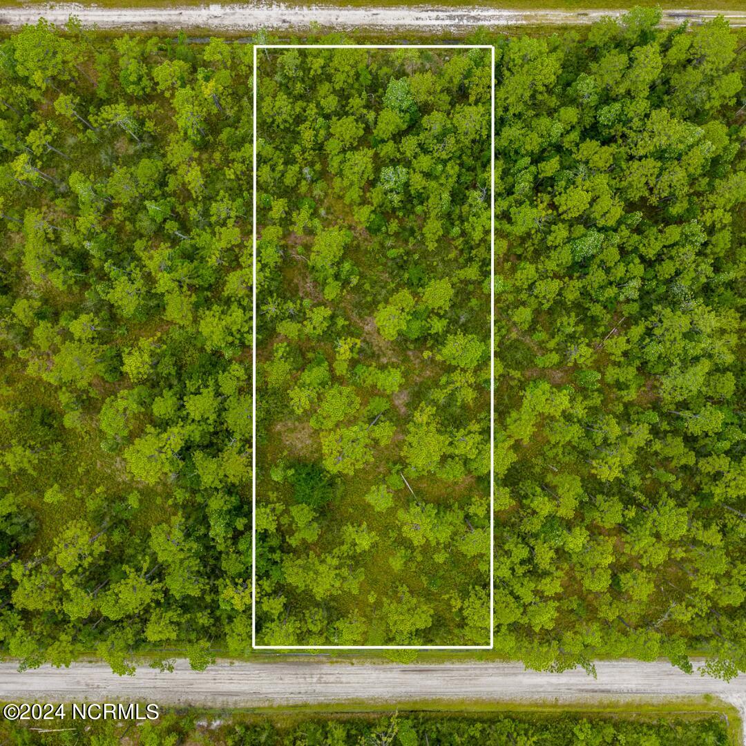 1140 Beech Road Boiling Spring Lakes, NC 28461 - Photo 3 of 25 Lot Lines