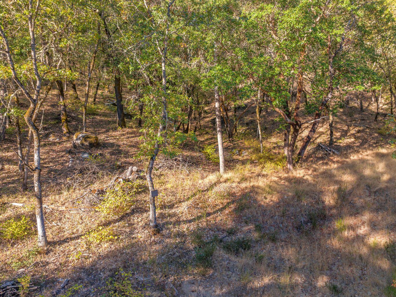 5590 Upper River Road Grants Pass, OR 97526 - Photo 9 of 11 20241009213301485650000000-o