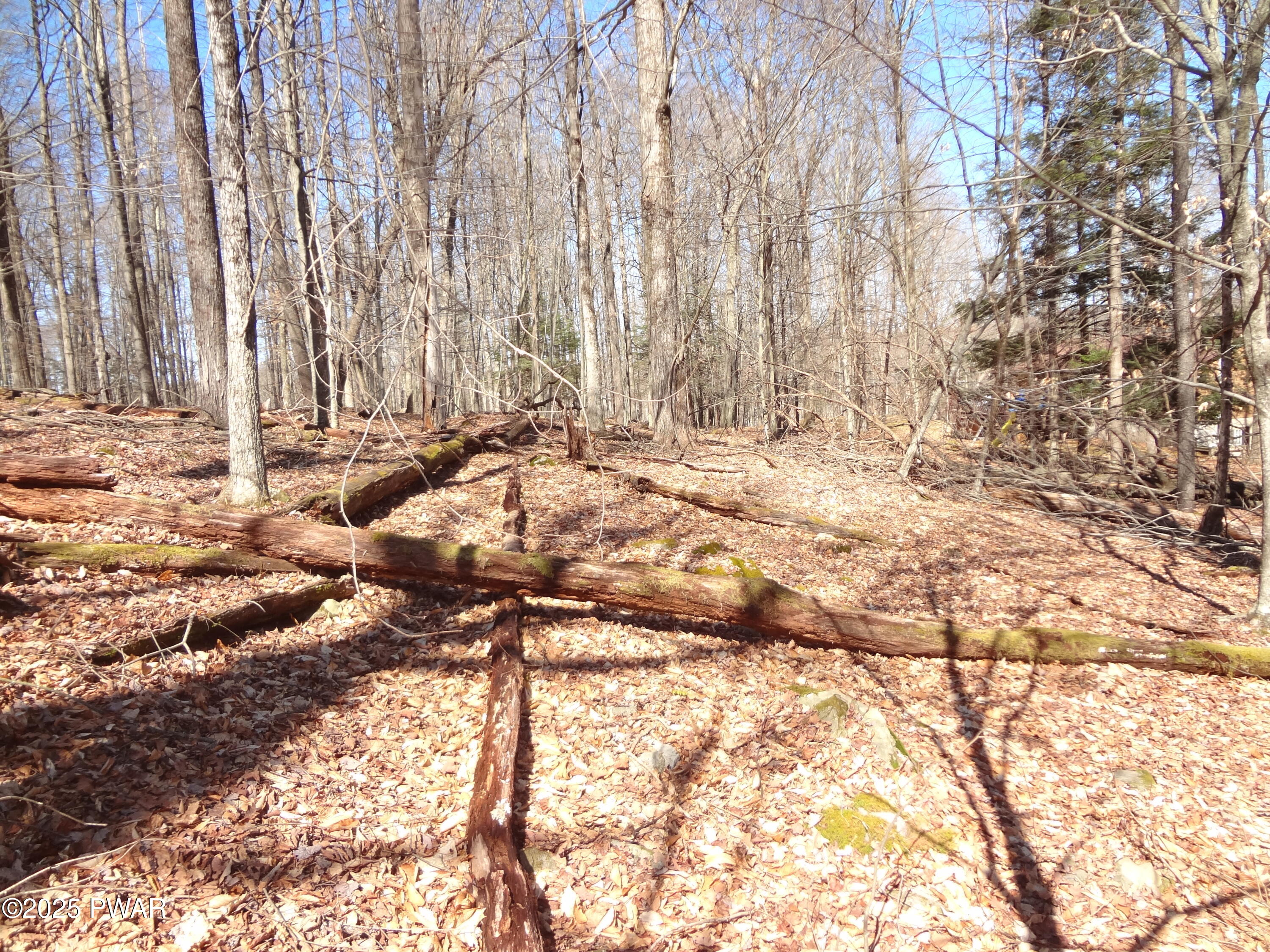 Lot #130 North Knob Road Greentown, PA 18426 - Photo 12 of 15