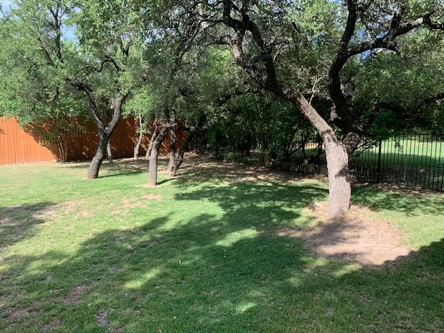 a park with lots of trees
