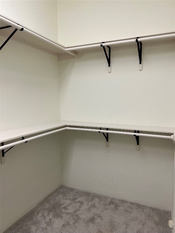 Undisclosed Address Austin, TX 78734 - Photo 8 of 21 a close view of closet