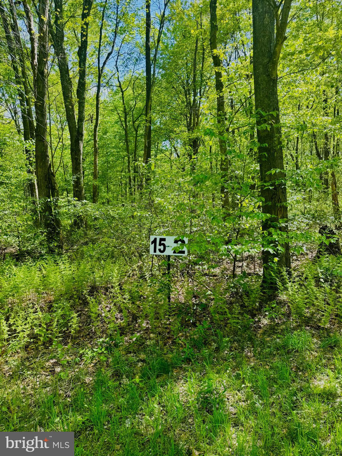 15 Paradise Point James Creek, PA 16657 - Photo 2 of 9 a view of a lush green forest