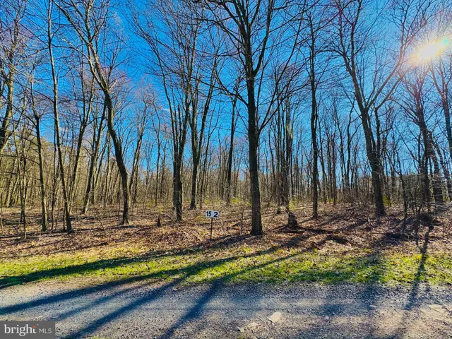 a view of a backyard with green space
