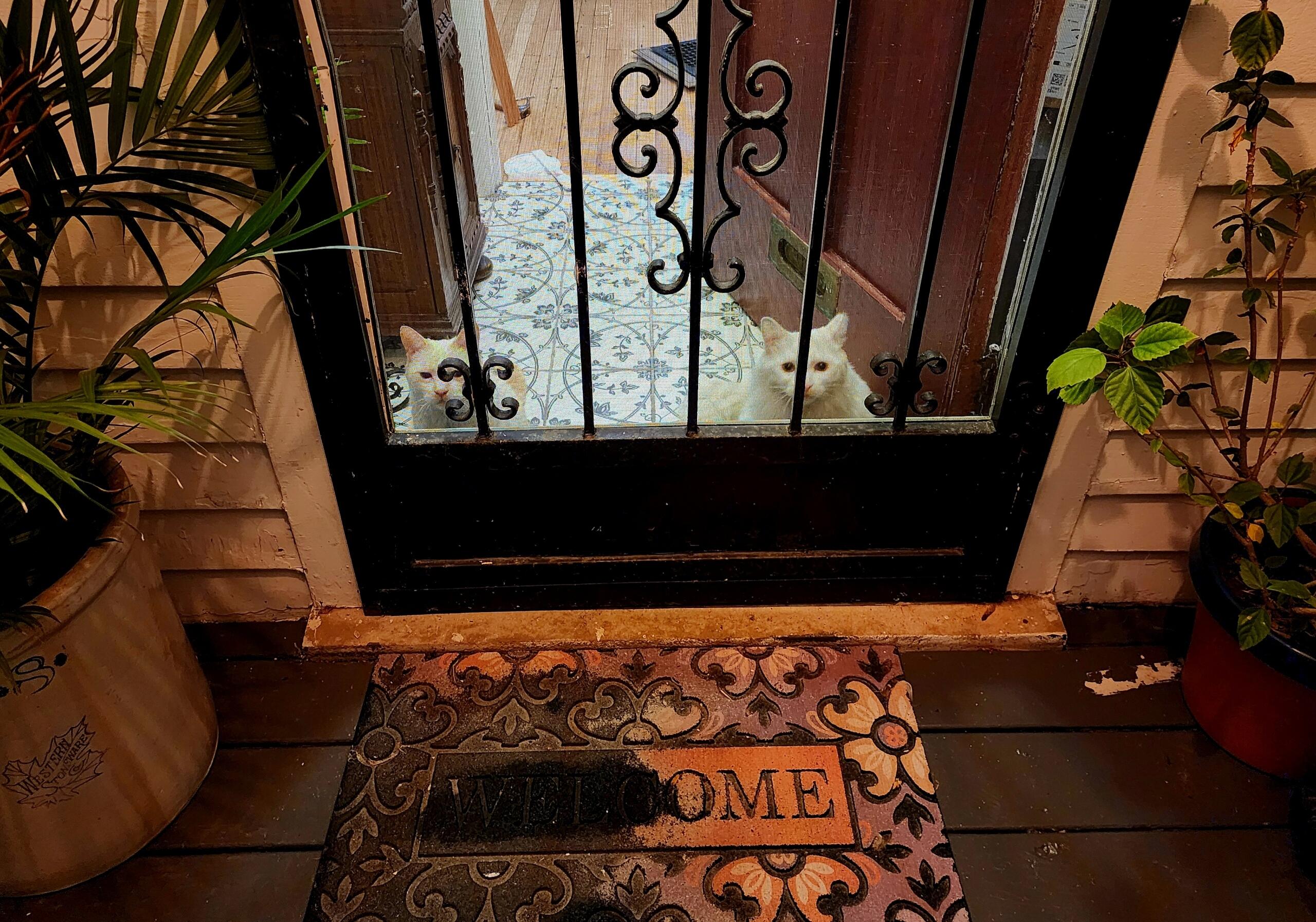 877 Burlingame Street Detroit, MI 48202 - Photo 21 of 21 Night2