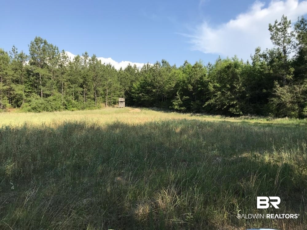 12835 Celeste Road Chunchula, AL 36521 - Photo 6 of 10