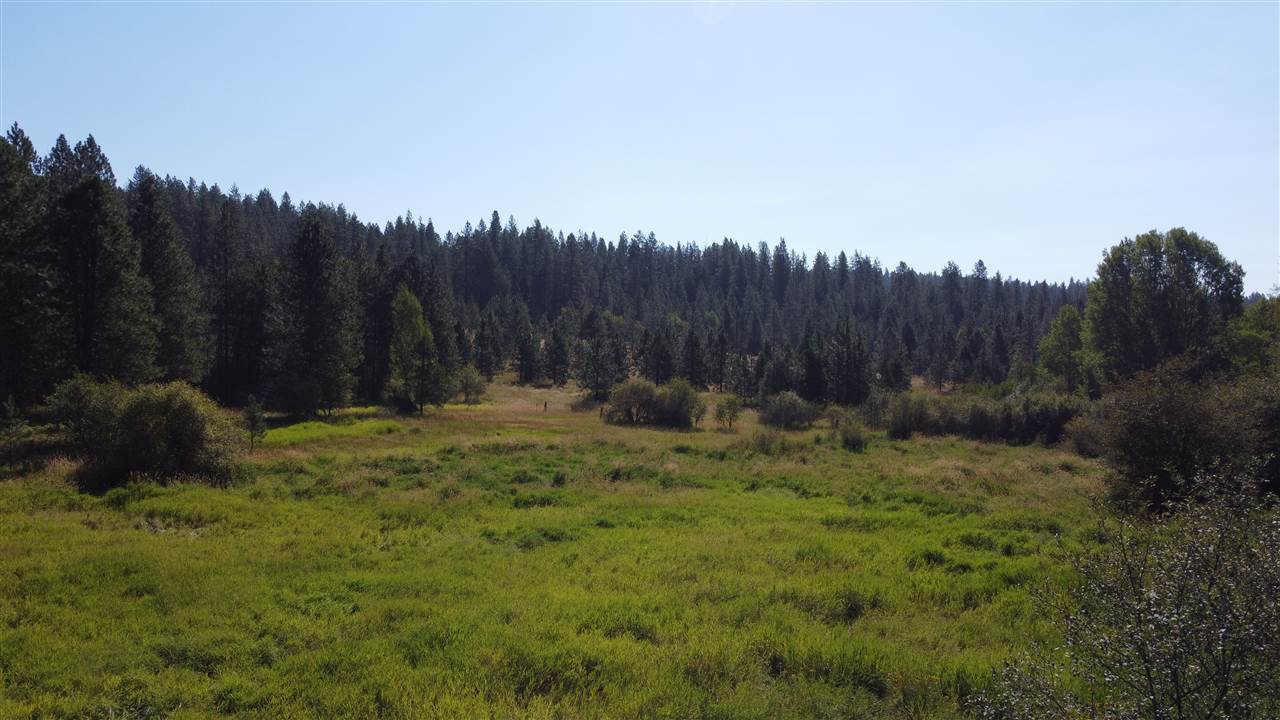 Tba North Tba N Madison And Randall Road Mead, WA 99021 - Photo 1 of 14