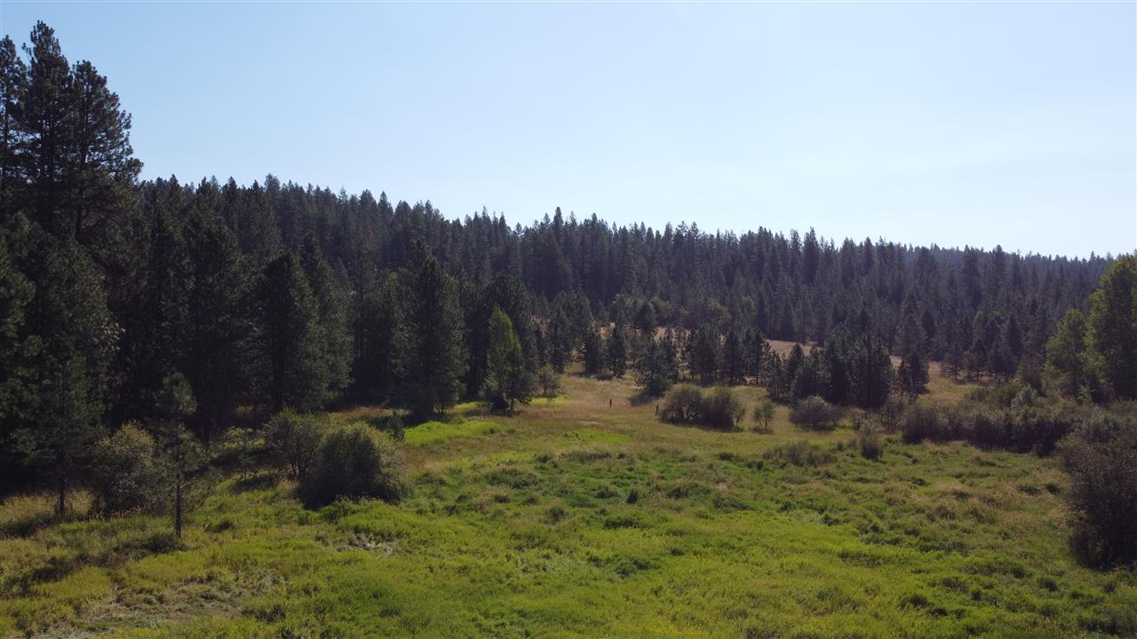 Tba North Tba N Madison And Randall Road Mead, WA 99021 - Photo 13 of 14